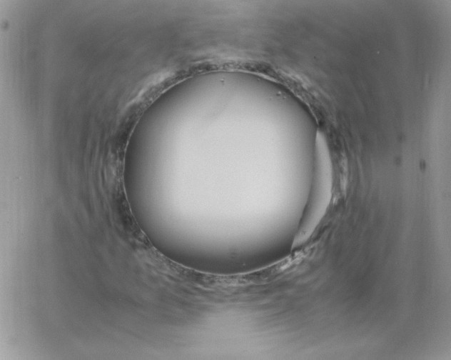 X0000062901157200602031825