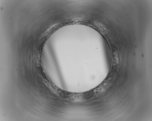 X0000062901158200602031825