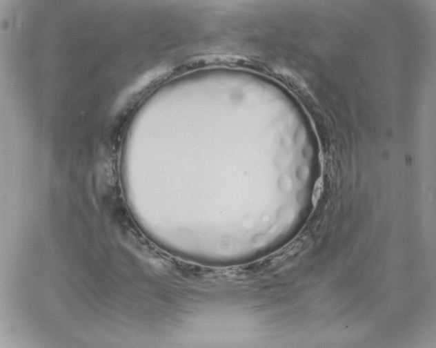 X0000062901159200602031825