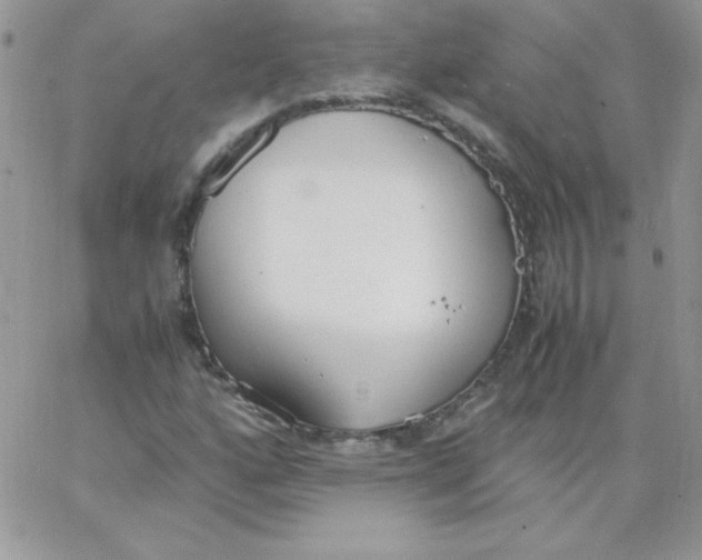 X0000062901160200602031825