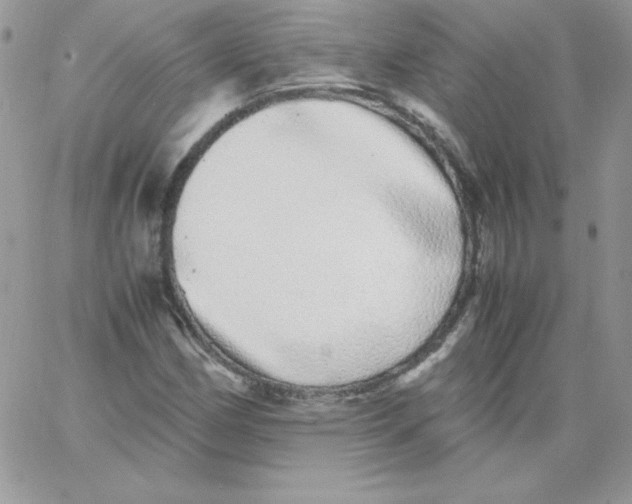 X0000062901162200602031825