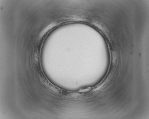 X0000062901163200602031825