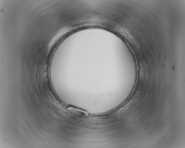 X0000062901164200602031825