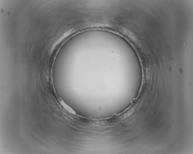 X0000062901165200602031825