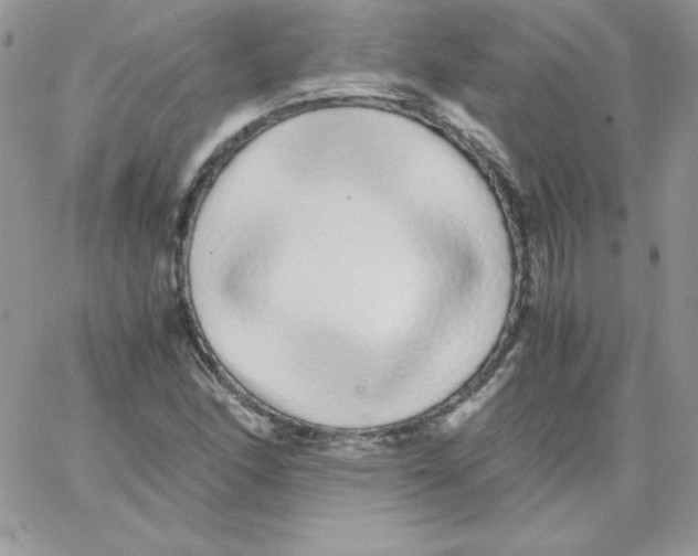 X0000062901166200602031825