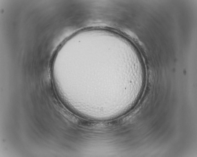 X0000062901167200602031825