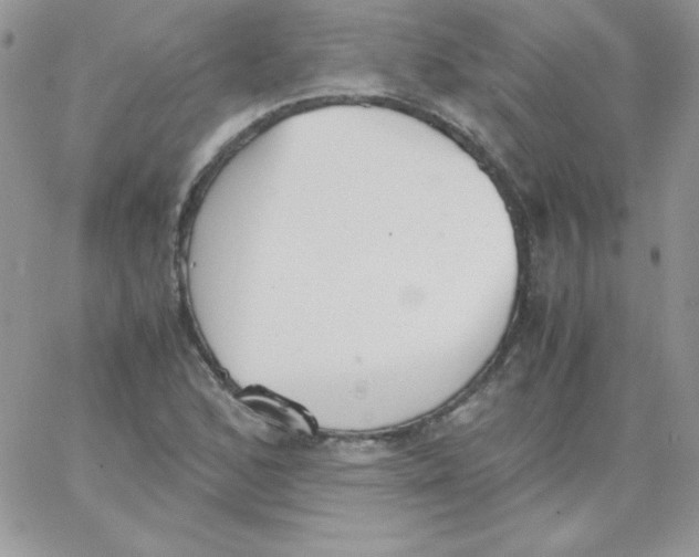 X0000062901168200602031825