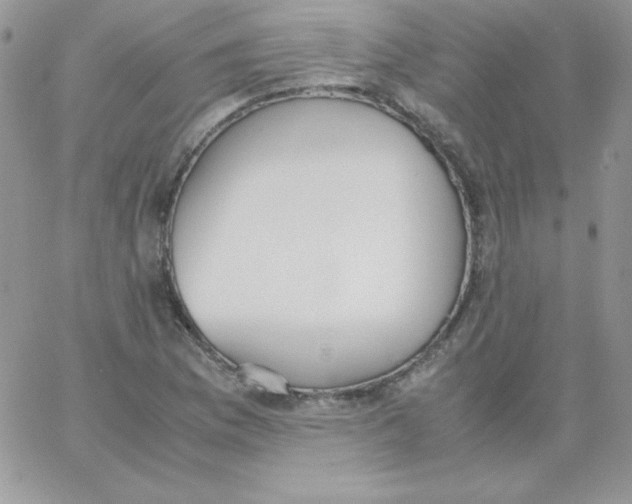 X0000062901169200602031825