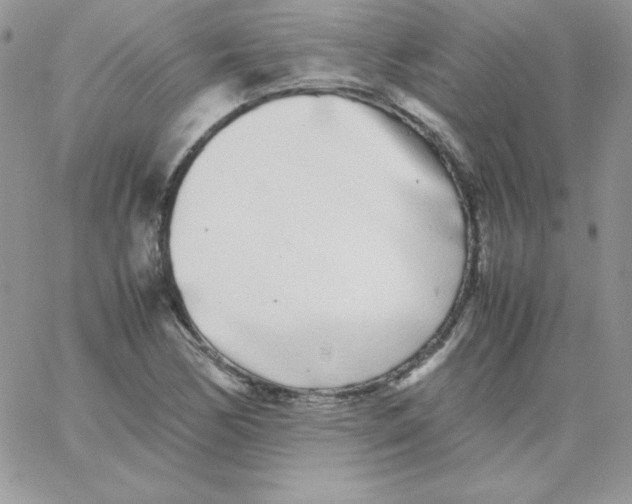 X0000062901170200602031825