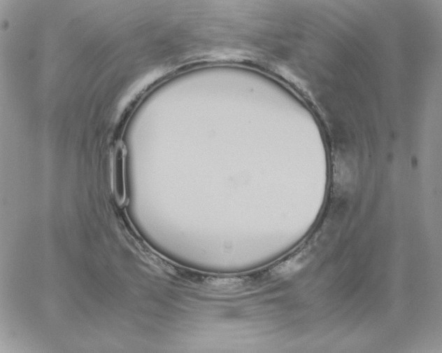 X0000062901171200602031825