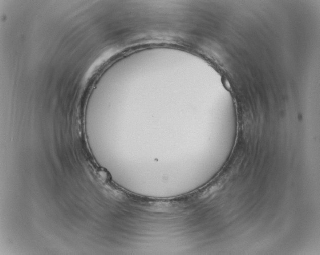 X0000062901172200602031825