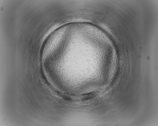 X0000062901173200602031824