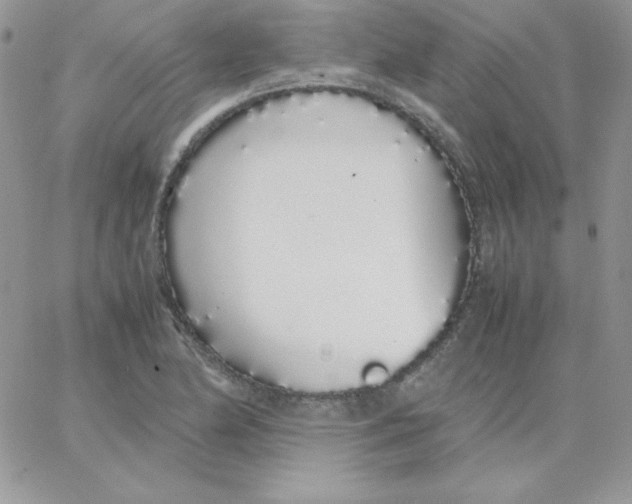 X0000062901174200602031824