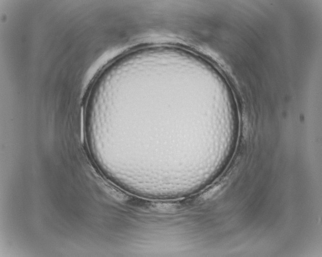 X0000062901175200602031824