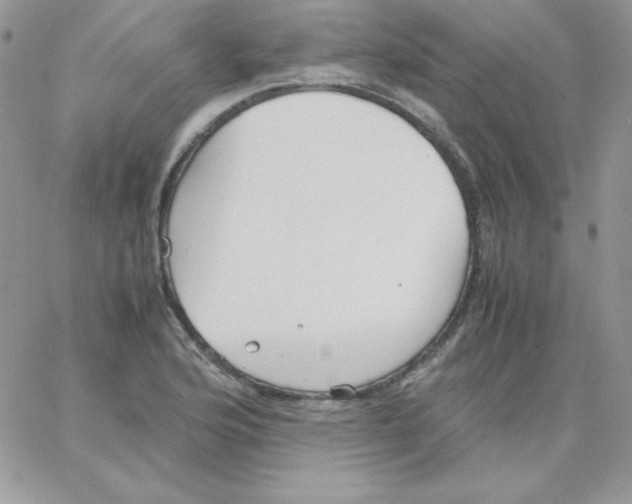 X0000062901176200602031824