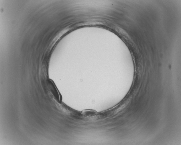 X0000062901177200602031824