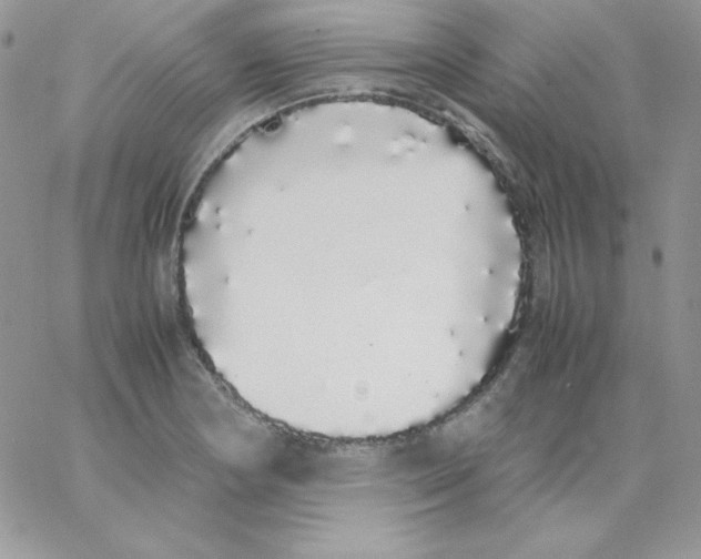 X0000062901178200602031824