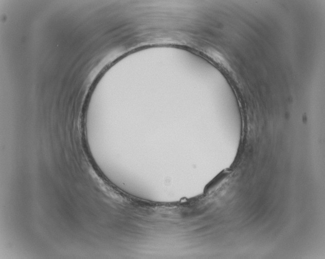 X0000062901181200602031824