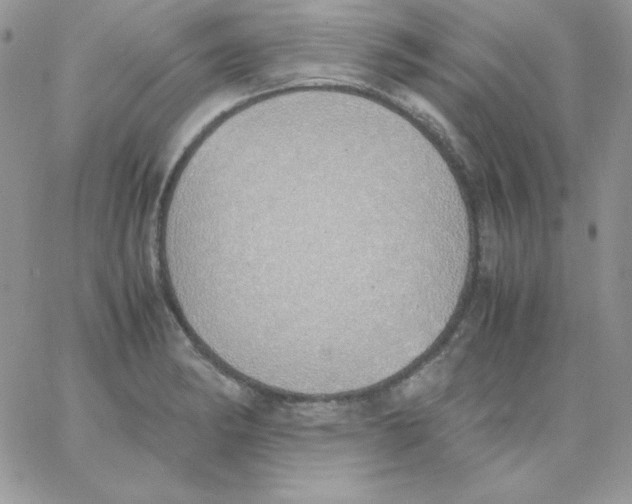 X0000062901182200602031824