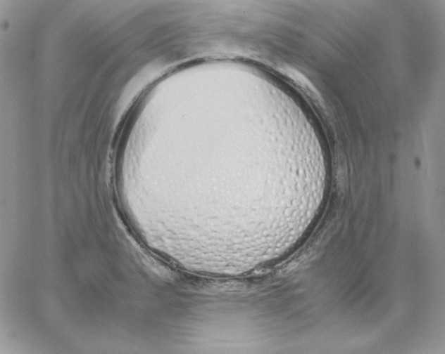 X0000062901183200602031824