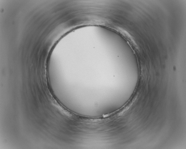 X0000062901184200602031824