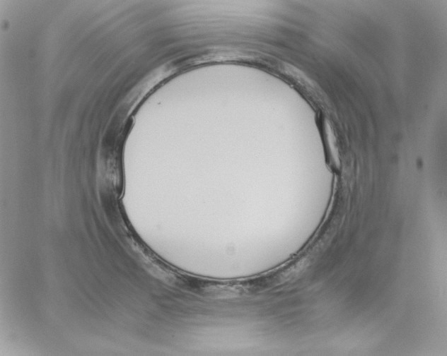 X0000062901185200602031824