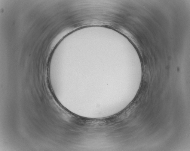 X0000062901187200602031824