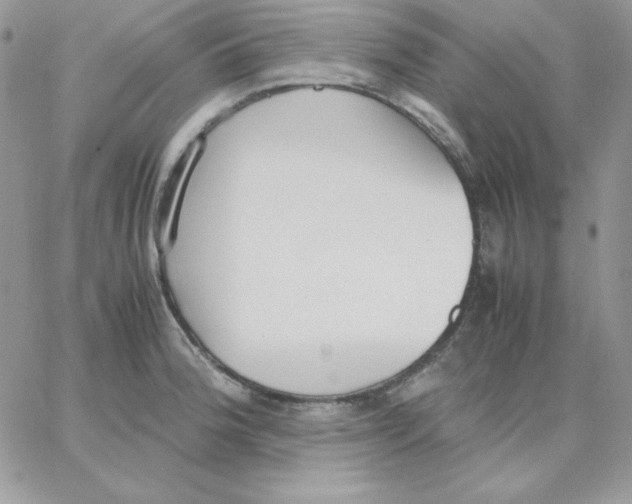 X0000062901188200602031824