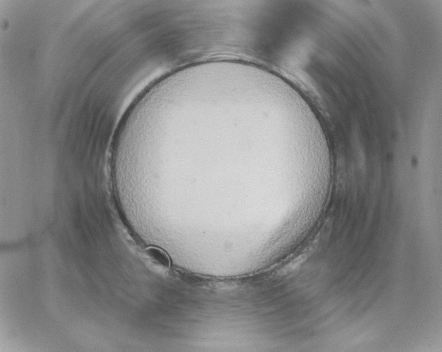 X0000062901190200602031824