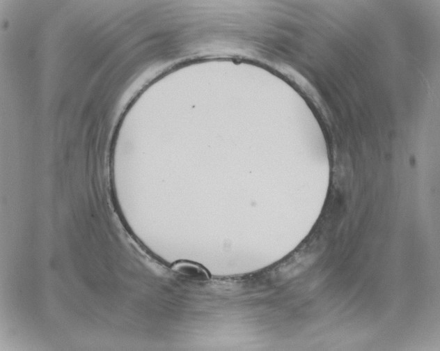 X0000062901191200602031824