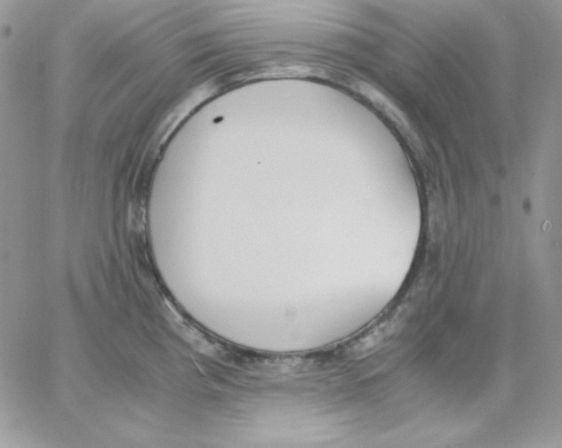 X0000062901193200602031824