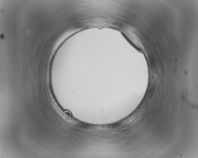 X0000062901195200602031824