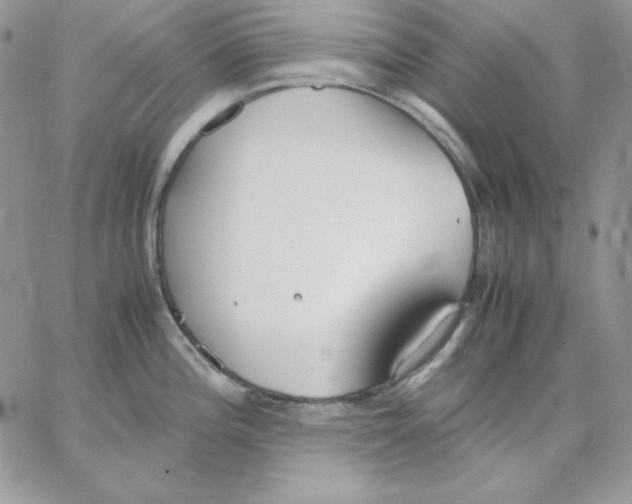 X0000062901196200602031824