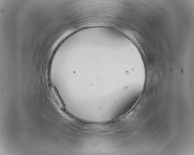 X0000062901197200602031824