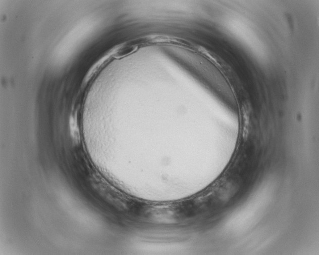 X0000062901198200602031824