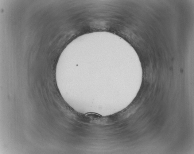 X0000062901201200602031823