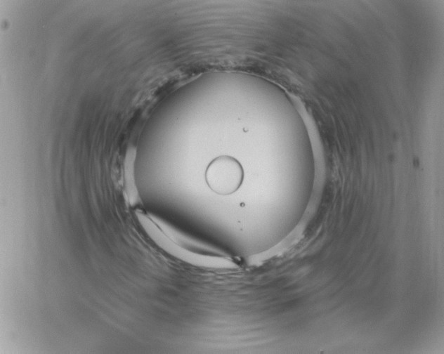 X0000062901202200602031823