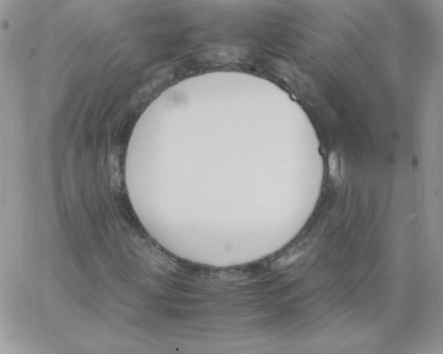 X0000062901203200602031823