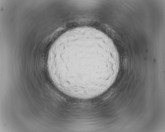 X0000062901204200602031823