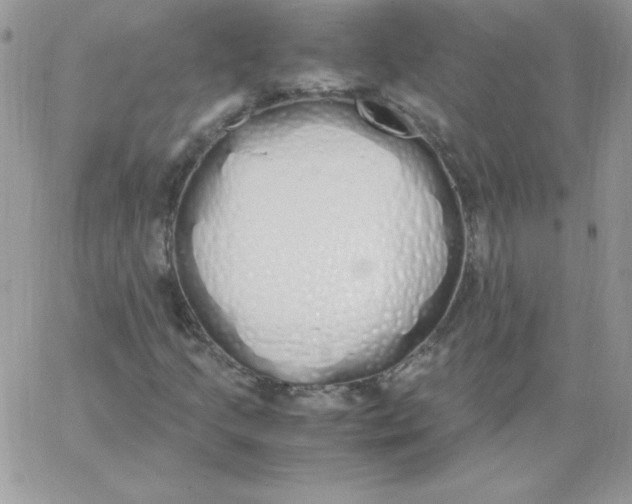 X0000062901205200602031823