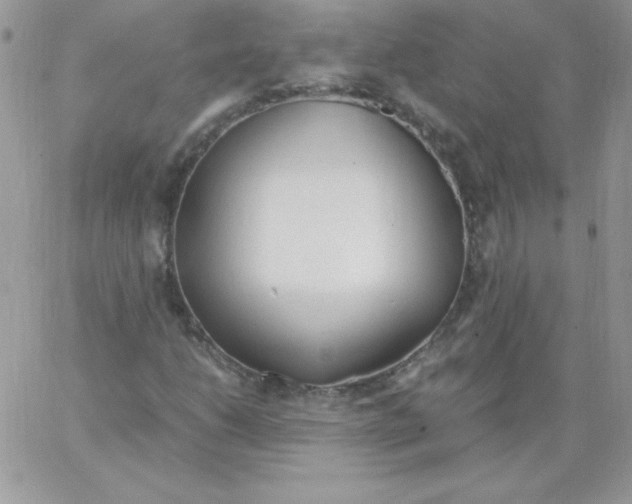 X0000062901206200602031823