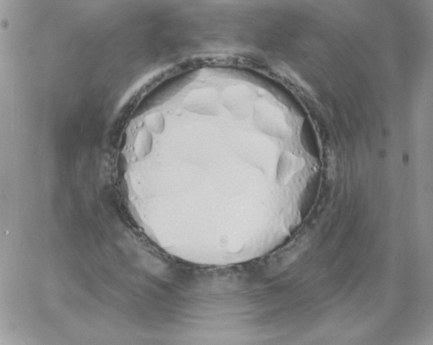 X0000062901208200602031823