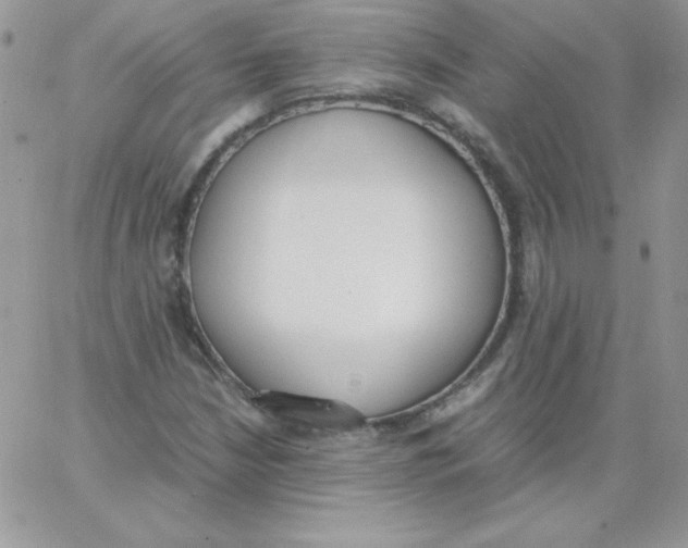 X0000062901210200602031823