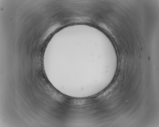 X0000062901211200602031823