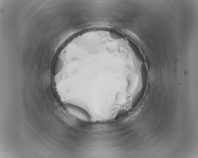 X0000062901212200602031823