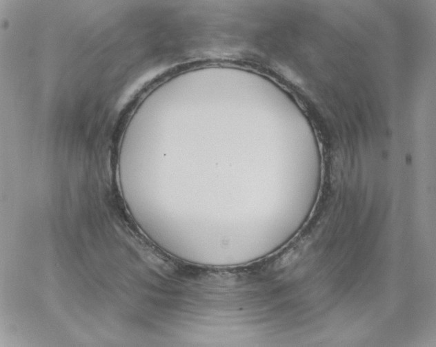 X0000062901214200602031823