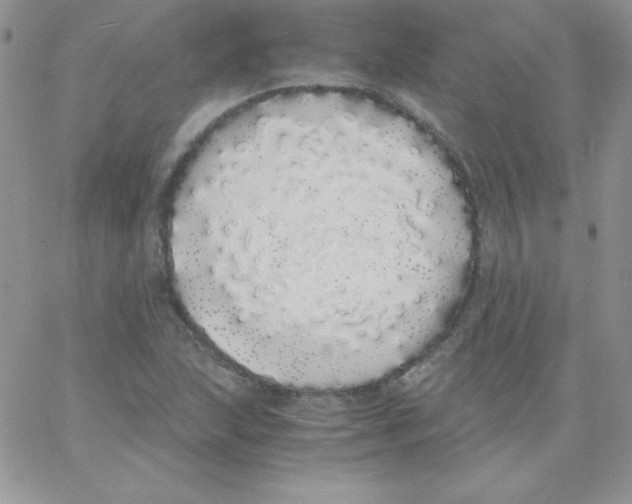 X0000062901215200602031824