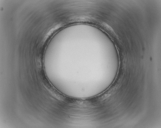 X0000062901218200602031824