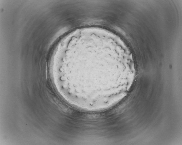 X0000062901219200602031824