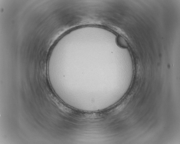 X0000062901220200602031824